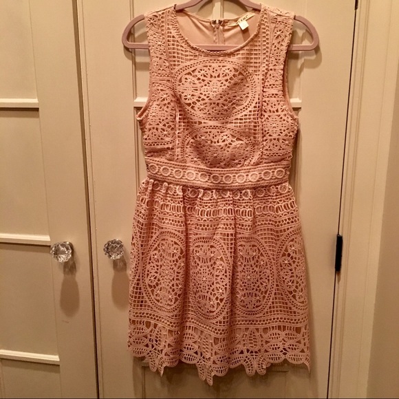 Nude Pink Miami Lace Fit and Flare Dress - NWT - Picture 1 of 3